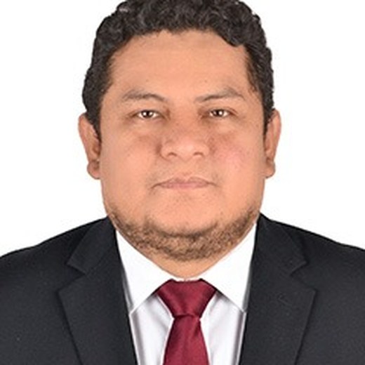 Asesor de tesis